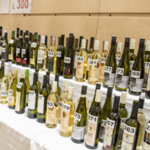 101 kost vina 101 kost vina