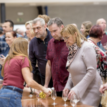 115 kost vina 115 kost vina